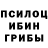 Псилоцибиновые грибы Psilocybe CaXapoK228kill